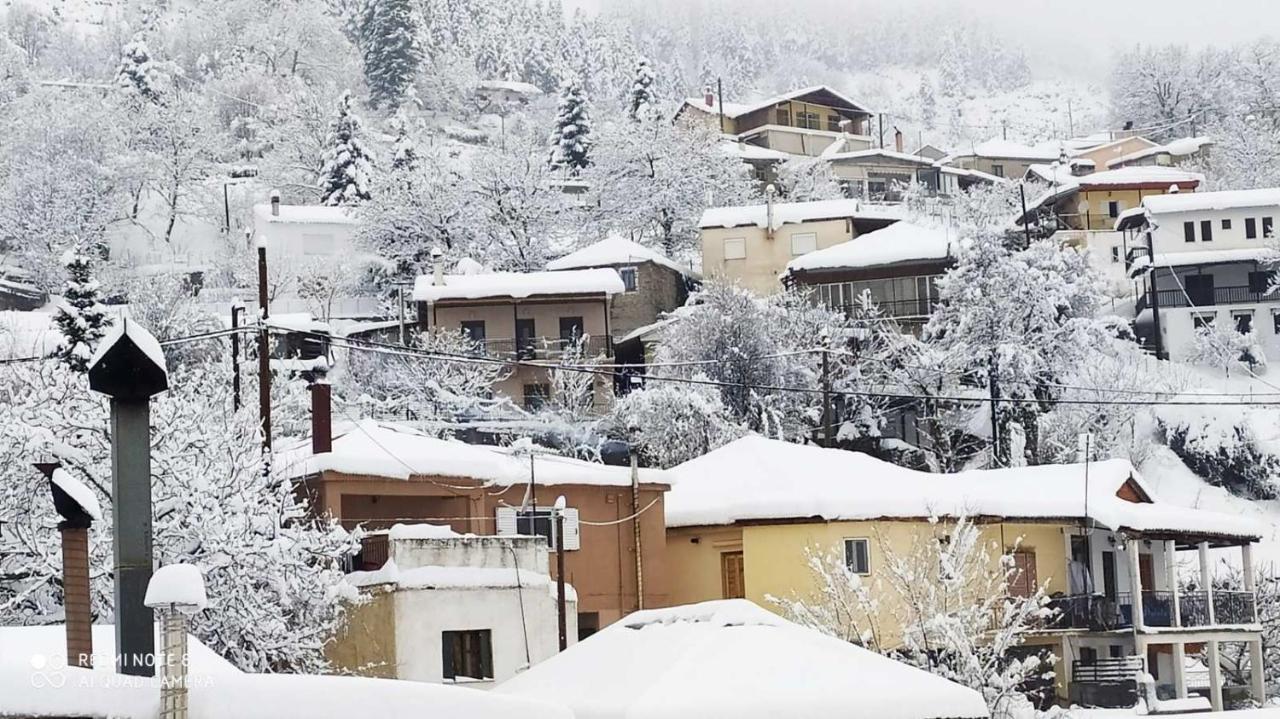 Elena'S Villa Chrysomiléa Buitenkant foto